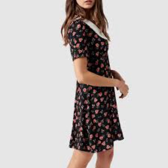 Collared Mini Dress - Picture 2 of 2